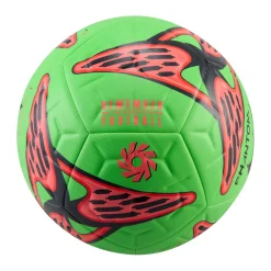 Academy Erling Haaland - Soccer Ball