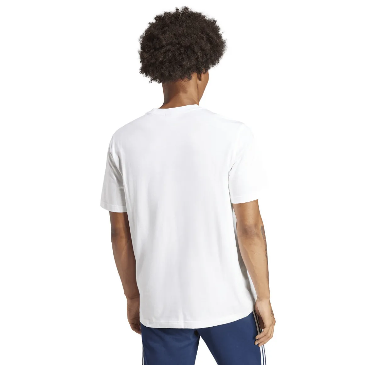 Adicolor Trefoil - Men's T-Shirt