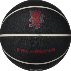 All Court 2.0 L James - Basketball