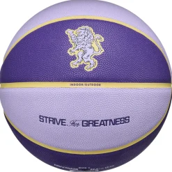 All Court 2.0 L James - Basketball
