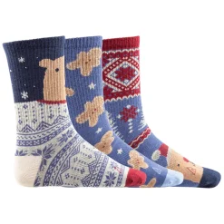 Bear (Pack of 3 pairs) - Junior Socks