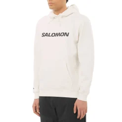 Big Logo - Men's Hoodie