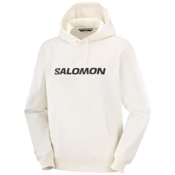 Big Logo - Men's Hoodie