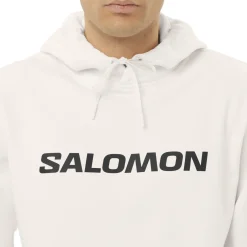 Big Logo - Men's Hoodie
