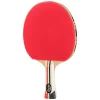 Blaze - Table Tennis Paddle