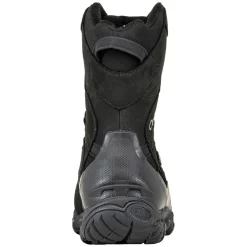 Bridger WP 10