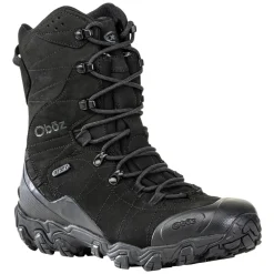 Bridger WP 10