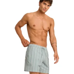 Casual - Men's Board Shorts