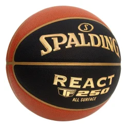 CEBL TF-250 - Basketball