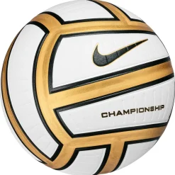 Championship 12P - Volleyball