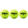 Championship RD - Tennis Balls