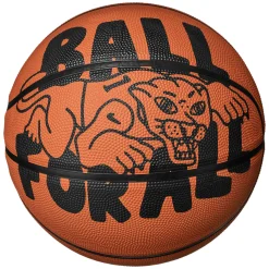 Everyday Playground Graphic - Basketball