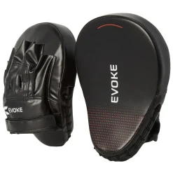 Focus - Trainer Punch Mitts
