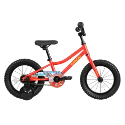 FR-14 - Kids' Bike