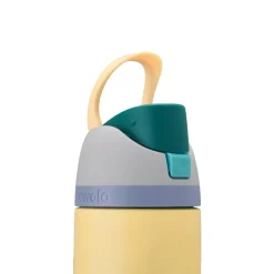 FreeSip (24 oz.) - Stainless Steel Insulated Bottle