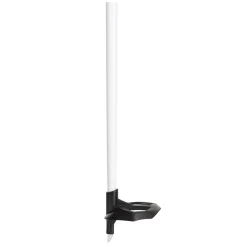 FT-600 Cork - Adult Cross-Country Ski Poles