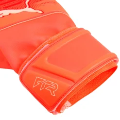 Future Match NC - Adult Soccer Goalkeeper Gloves