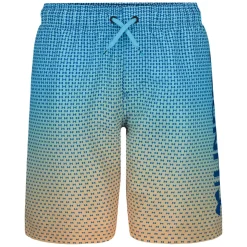 Gradient - Boys' Board Shorts