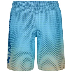 Gradient - Boys' Board Shorts