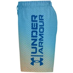 Gradient - Boys' Board Shorts