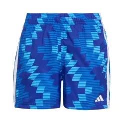 Graphic - Boys' Swim Shorts
