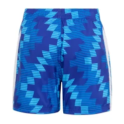 Graphic - Boys' Swim Shorts