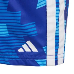 Graphic - Boys' Swim Shorts