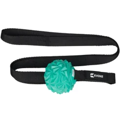 HS1005296 - Massage Ball on Rope