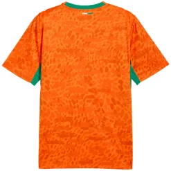 Ivory Coast FIF (Home) - Adult Replica Soccer Jersey
