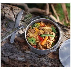 Mandarin Beef and Rice - Freeze-Dried Camping Food Meal