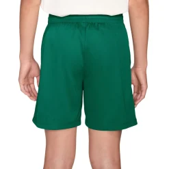 Multi - Boys' Athletic Shorts