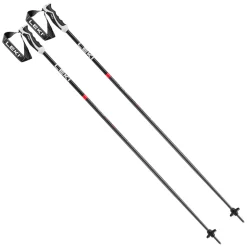 Neolite - Men's Alpine Ski Poles