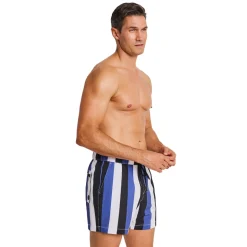Nostalgic Coastal - Men's Board Shorts