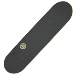 Palm - Skateboard