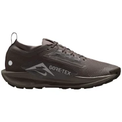 Pegasus Trail 5 GTX - Men's Trail Running Shoes