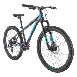 Pines 26