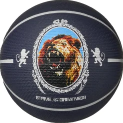 Playground 2.0 L James - Basketball