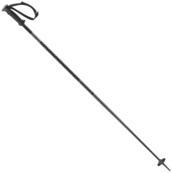 Polar - Men's Alpine Ski Poles