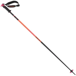 Polar Pro S3 - Men's Alpine Ski Poles