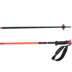 Polar Pro S3 - Men's Alpine Ski Poles