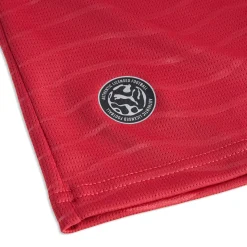 Portugal FPF Ronaldo 7 (Home) - Junior Replica Soccer Jersey