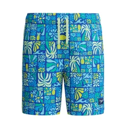 Print Volley 15 - Boy's Board Shorts