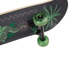 Pulse - Skateboard