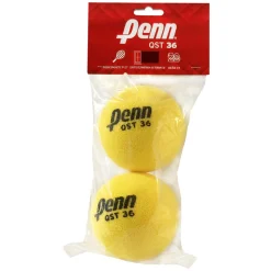 QST 36 Foam (Sac de 2) - Reduced Speed Tennis Balls
