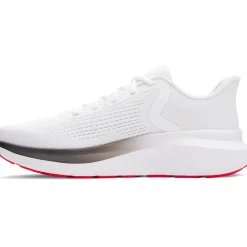 Rogue 5 - Men's Running Shoes