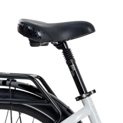 RX1+ - Adult Electric-Assist Bike