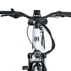 RX1+ - Adult Electric-Assist Bike