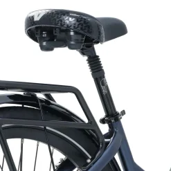 RX1+ - Adult Electric-Assist Bike