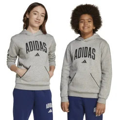Seasonals Essentials Collegiate - Junior Hoodie