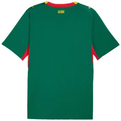 Senegal FSF (Away) - Adult Replica Soccer Jersey
